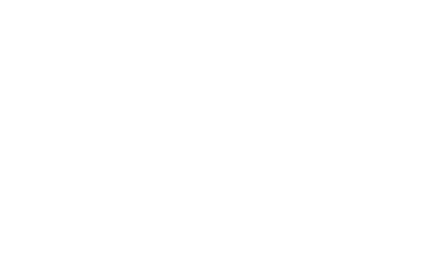 logo vertical